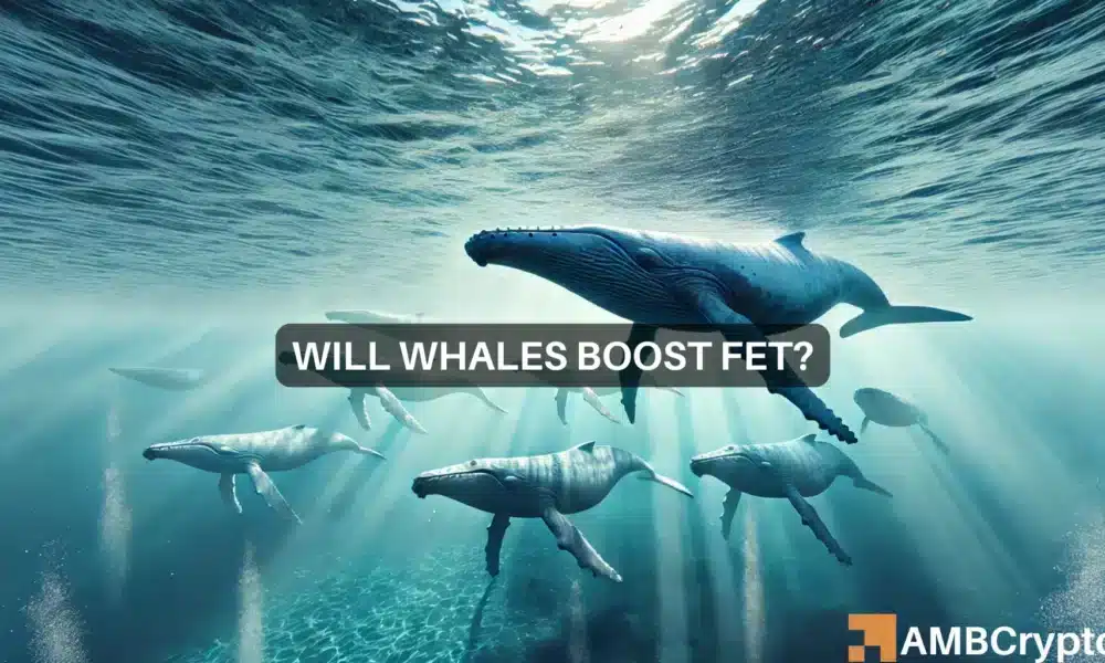 FET: Will whale activity fuel bullish momentum?