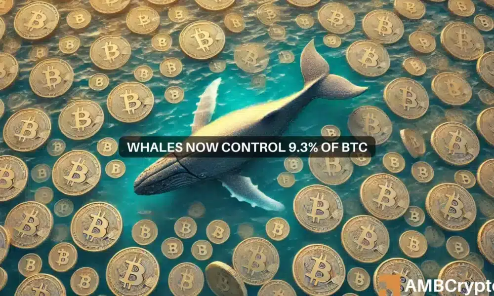 Bitcoin whales hoard 2M BTC: Does this indicate a market bottom?