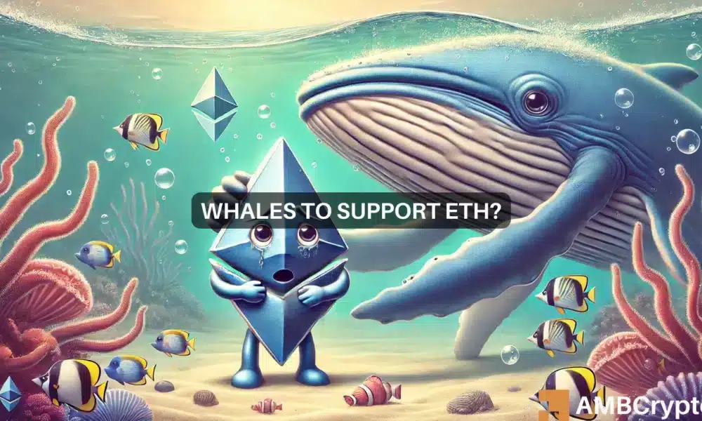 Ethereum’s potential December drop – Can whales turn things around?