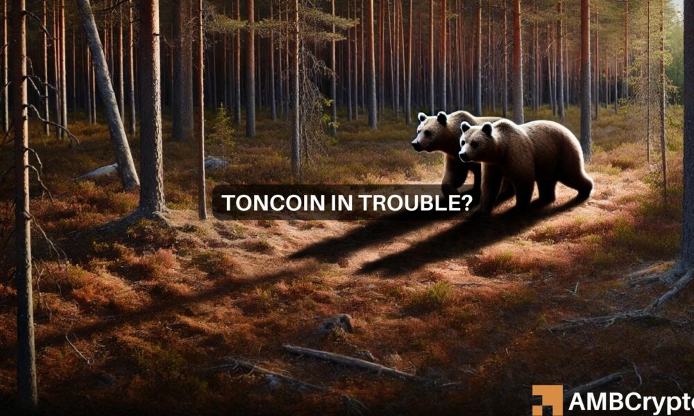 Analyzing Toncoin’s weekly decline: Is a bigger drop coming?