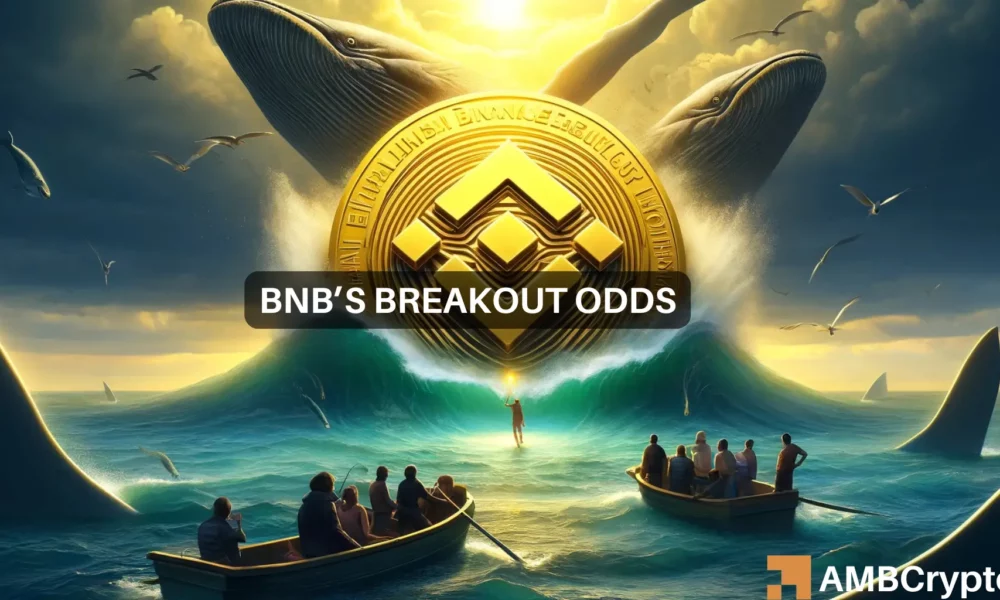 BNB Price Prediction – Is a rally to $725 really on the cards for the altcoin?