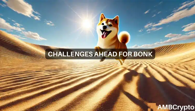 Bonk coin up by nearly 30% since Monday, bulls expect another 10% move