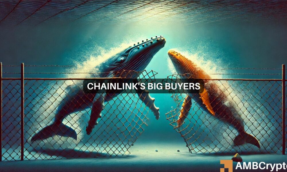 Chainlink: Whales make a $165M move on LINK – Will it pay off?