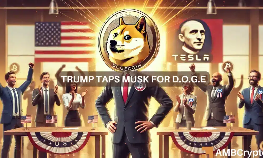 Elon Musk to co-lead Trump’s new ‘D.O.G.E’—Dogecoin price reacts sharply