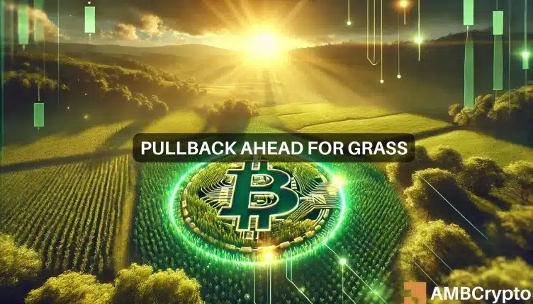 Grass crypto gains 160% in 7 days, sets new ATH: What comes next?