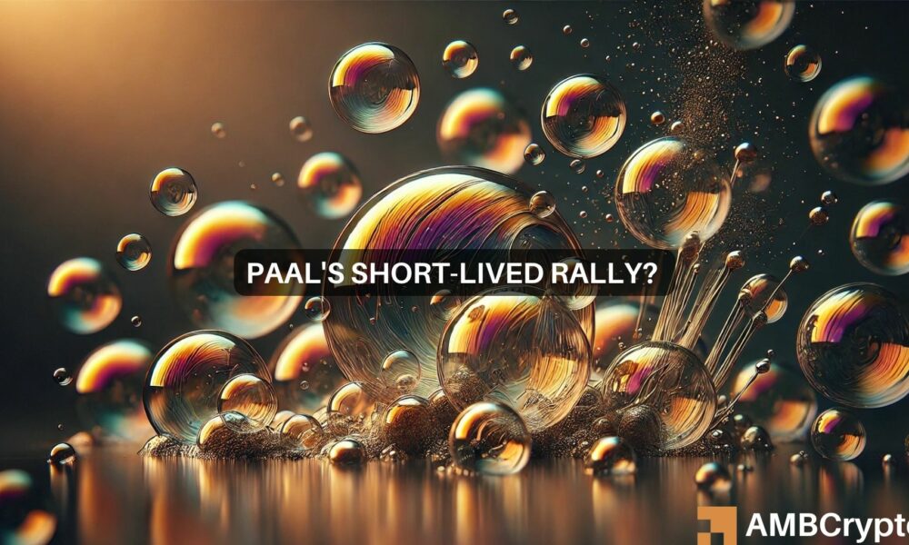 PAAL crypto rallies 50% in 24 hours: Can this momentum hold?