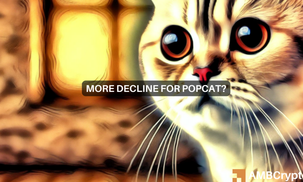 Popcat declines by 8% in 7 days: Is this just the beginning of a bigger slide?