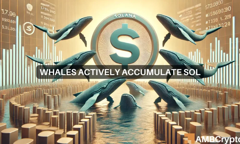 Solana whale scoops up 7500 SOL worth $54 mln: Impact on price?