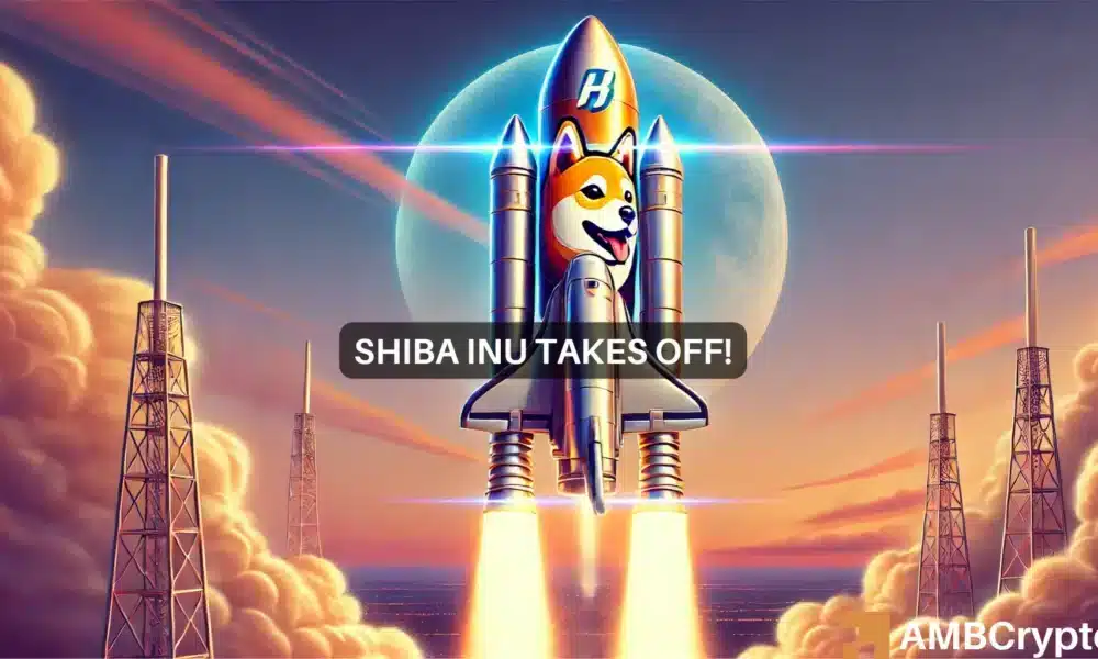 Shiba Inu rides Bitcoin wave, jumps 18% in 24 hours – Is the rally here to stay?