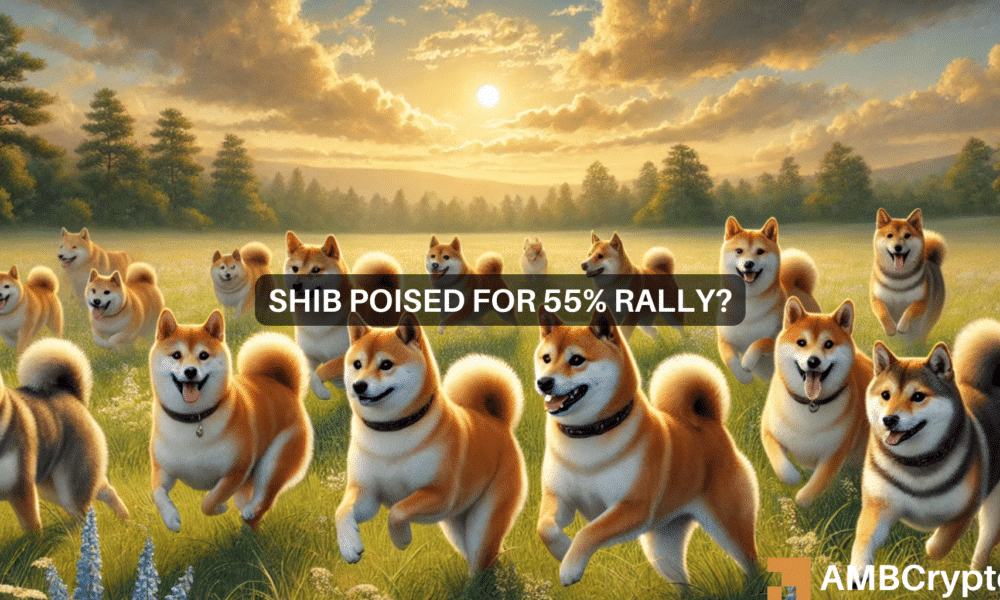 Shiba Inu to surge? Whales scoop up 1.67T SHIB – Could a 45% hike be next?