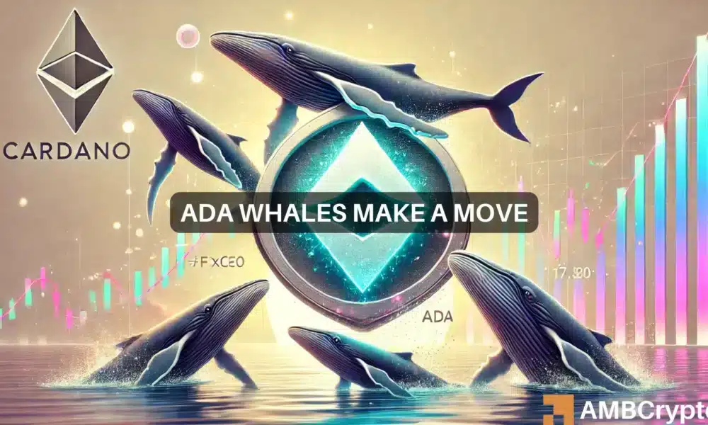100M ADA bought in a day: Are Cardano whales planning something big?