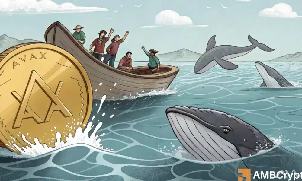 AVAX and its breakout odds – Will whales continue to have their say?