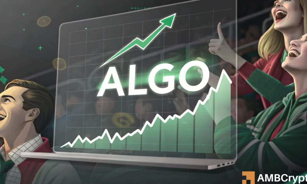 Algorand’s ‘80% hike’ – Can traders profit from ALGO and buy the dip now?