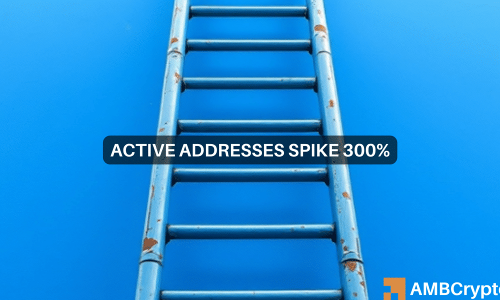 Algorand drops despite a 300% surge in active addresses – Why?