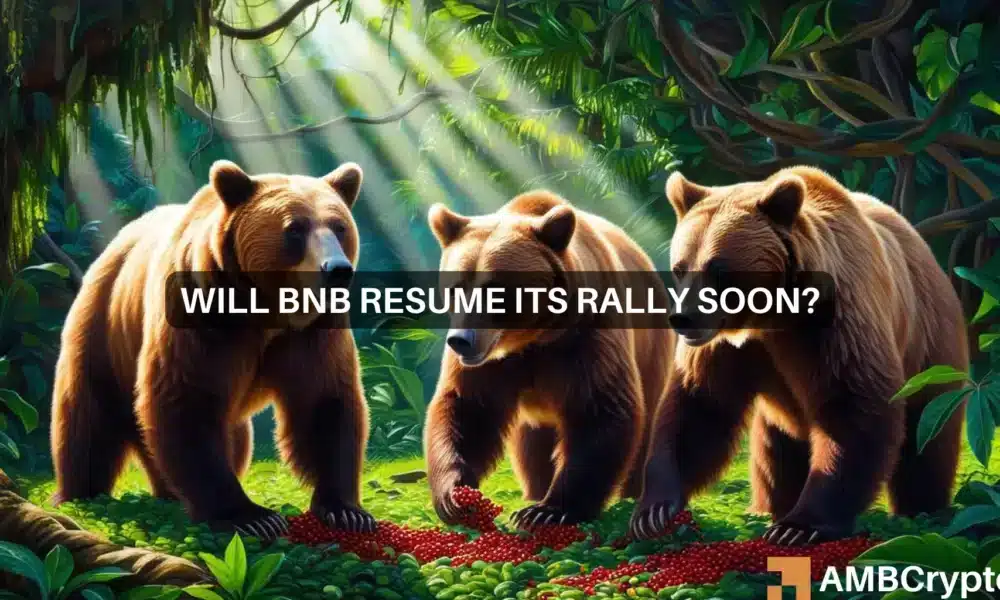 BNB faces correction after climbing 10% last week: New predictions?