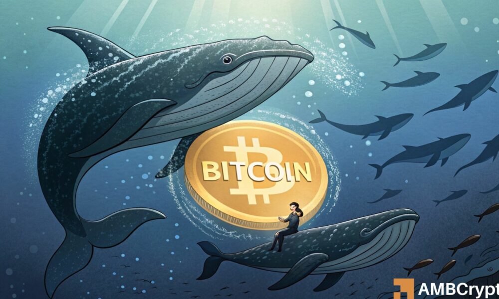 Bitcoin hits new ATH before crashing – Will whales come to the rescue?