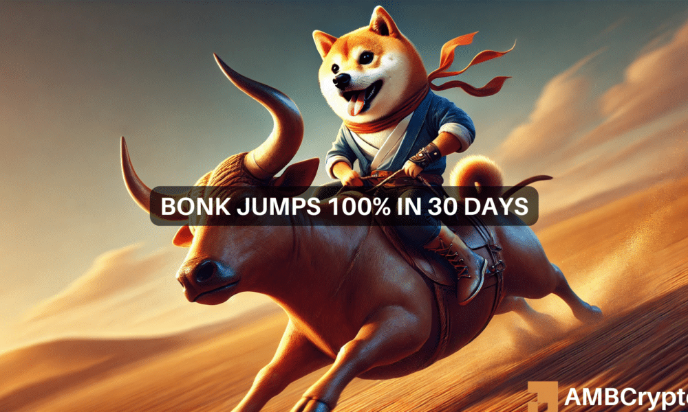 What Bonk’s 100% increase in 30 days means for traders