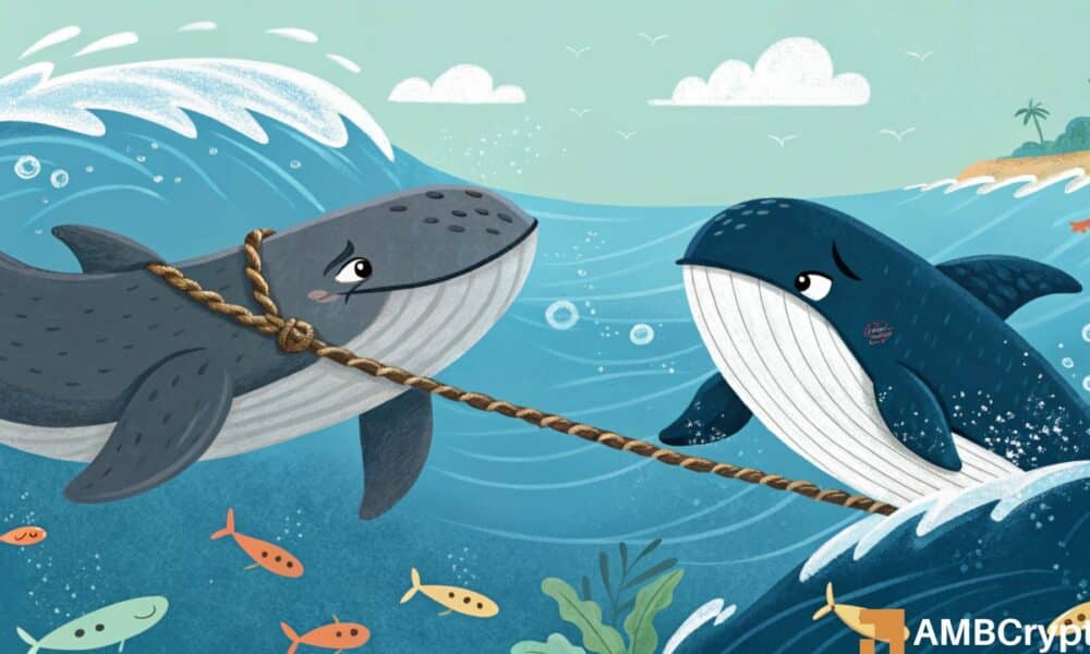 Chainlink- Analyzing the price impact of whale’s $2.95M withdrawal