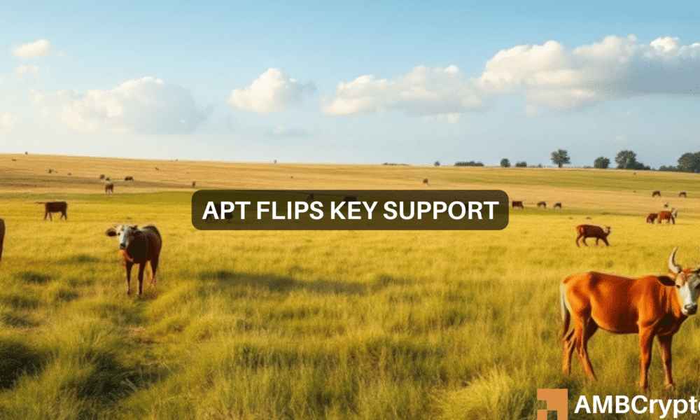 Can Aptos push to $20 before 2024 ends? Traders watch out for THESE levels