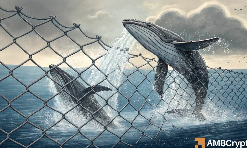 362,380 LINK move in 48 hours: Here’s what Chainlink whales are up to