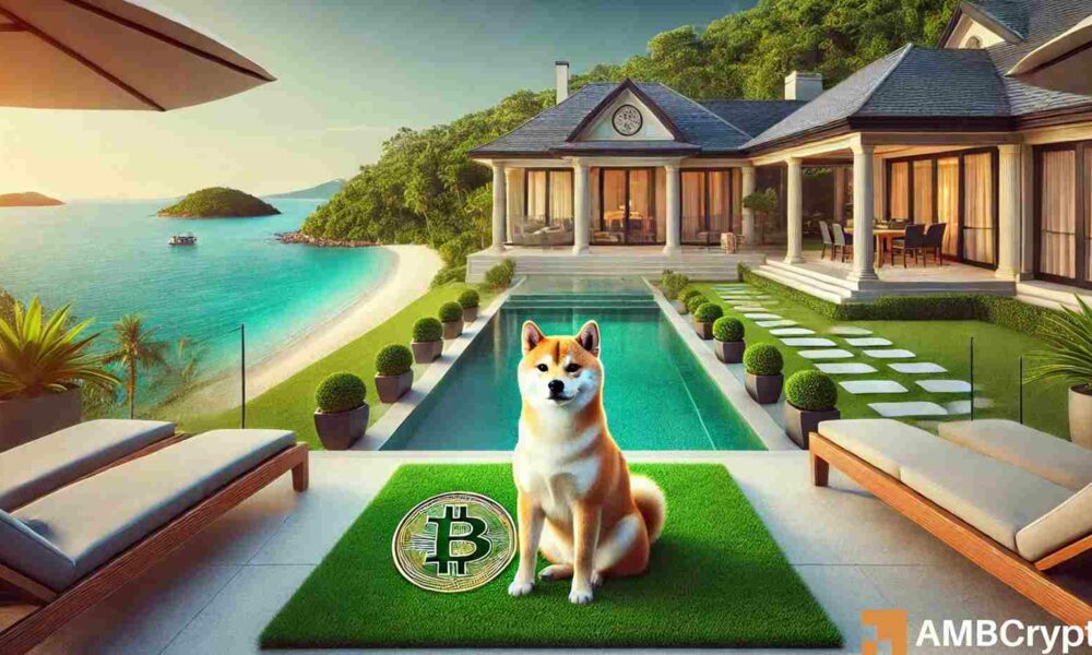 The Shiba Inu amount needed to become a millionaire revealed