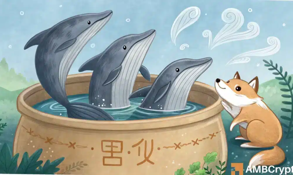 Shiba Inu whales are active again – Impact on SHIB? 