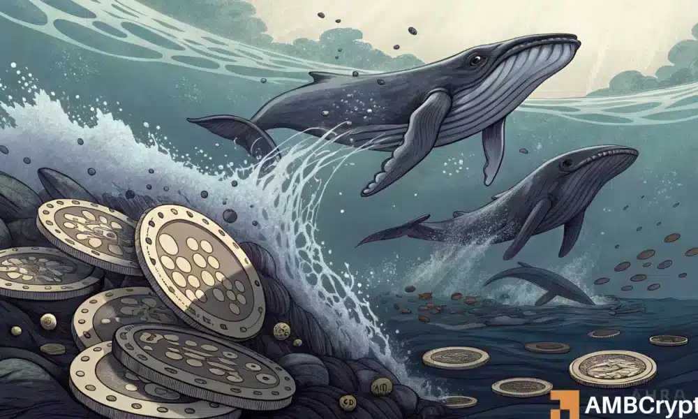 Whales accumulate ADA, but Cardano’s rally remains uncertain