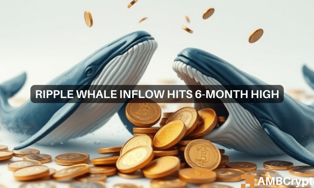 How have whale transfers affected XRP’s short-term price? Details…