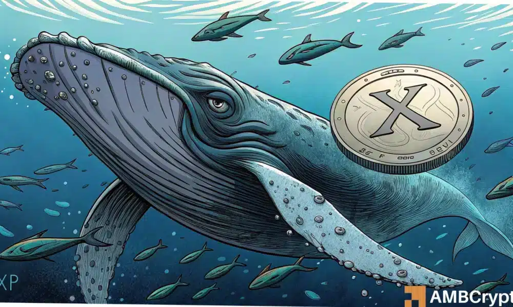 XRP whale moves hint at supply squeeze: Is $4 next?