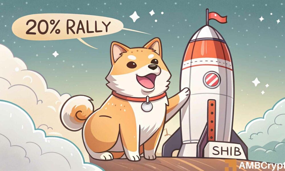 THIS channel hints at a 20% rally for Shiba Inu – Here’s why