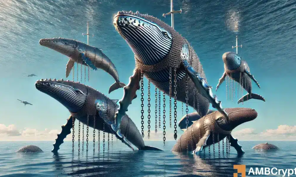 Chainlink: Whale activity signals more downside – Can demand at $14.27 hold?