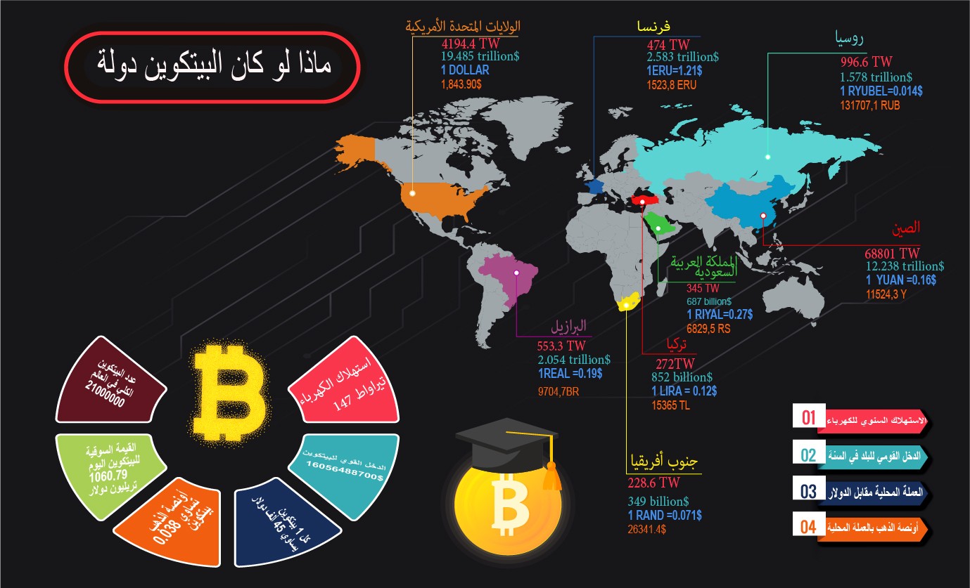 ماذا لو كان البيتكوين دولة