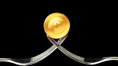 ماذا يعني مصطلح فورك (fork)