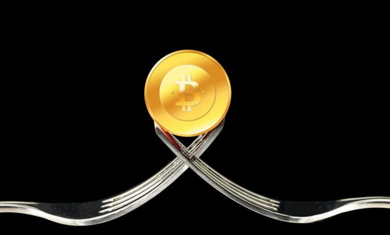 ماذا يعني مصطلح فورك (fork)