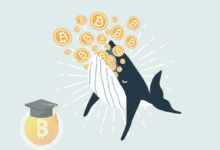 Bitcoin whales0.1