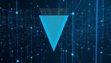 عملة XVG الرقمية