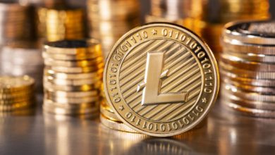 LTC coin