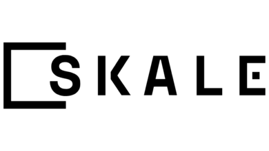 عملة SKL