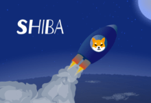 Shiba Inu