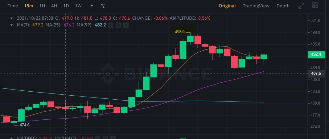 هل سعر عملة BNB سيصل 1000 دولار بعد هذا الخبر؟