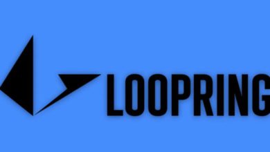 عملة Loopring الرقمية