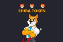 الكشف عن سبب هبوط سعر عملة شيبا Shiba Inu