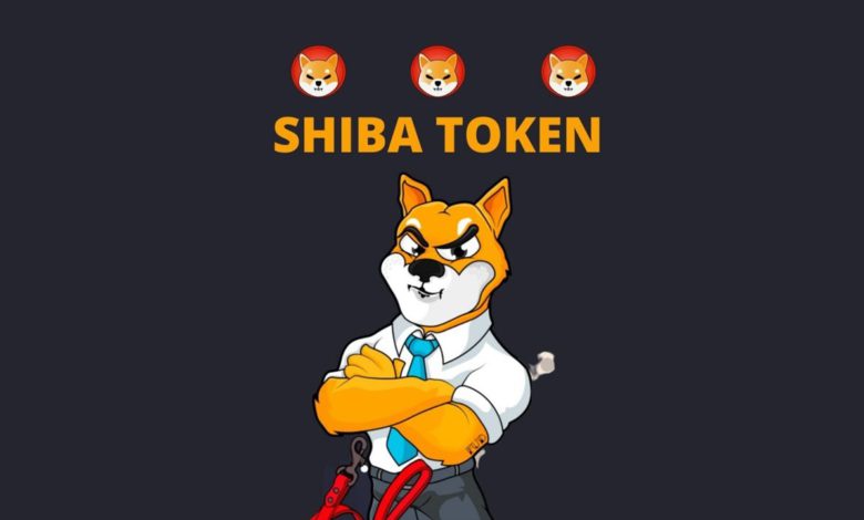 الكشف عن سبب هبوط سعر عملة شيبا Shiba Inu