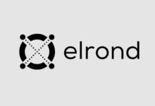 شبكة إلروند (Elrond)
