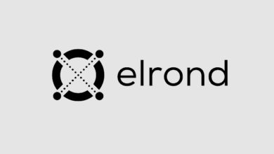 شبكة إلروند (Elrond)