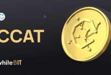 عملة CCAT