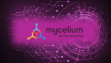 إنشاء محفظة Mycelium