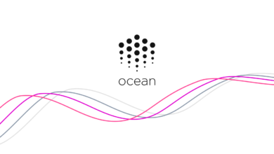 عملة Ocean حلال