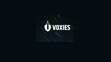 عملة VOXEL الرقمية