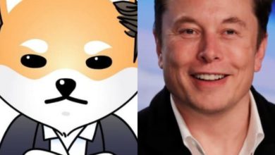 إليك سبب ارتفاع عملة ELON الرقمية